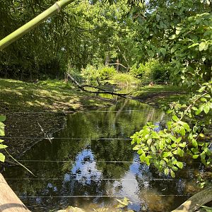 Asia- Visayan spotted deer enclosure 13.7.23