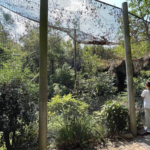 Asia- Fishing cat enclosure 13.7.23