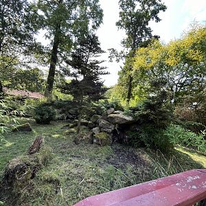 Asia- Tufted deer enclosure 13.7.23