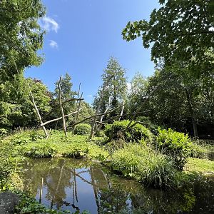 Asia- Lion-tailed macaque enclosure 13.7.23