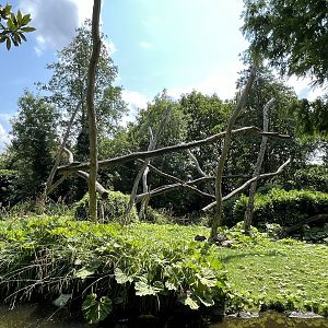 Asia- Lion tailed macaque enclosure 13.7.23