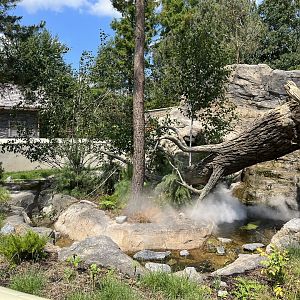 Asia- Red panda and Tufted deer enclosure 13.7.23