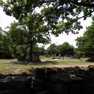 Asia- Bactrian camel enclosure 13.7.23
