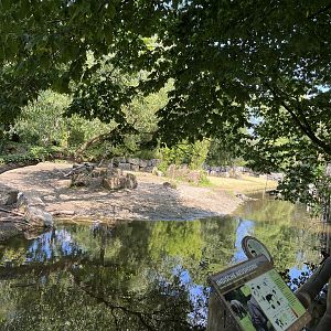 Asia- Indian rhino enclosure 13.7.23