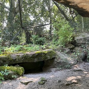 Asia- Pallas cat enclosure 13.7.23
