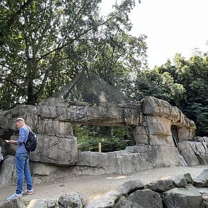 Asia- Pallas cat enclosure 13.7.23
