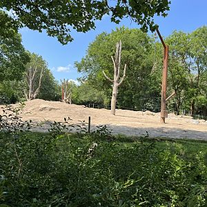 Asia- Asian elephant enclosure 13.7.23