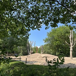 Asia- Asian elephant enclosure 13.7.23