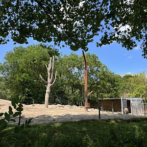 Asia- Asian elephant enclosure 13.7.23