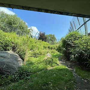 Asia- Sumatran tiger enclosure 13.7.23