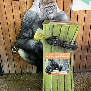 Gorilla “Bokito” donation box 13.7.23