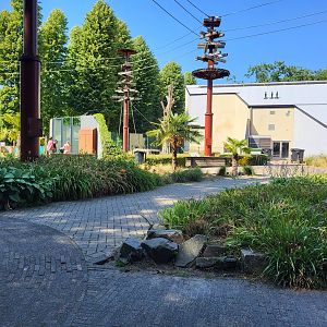 One of the outdoor Orang utan enclosures
