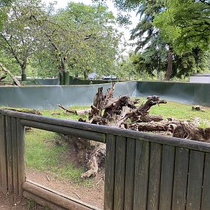 Beale park red footed tortoise enclosure