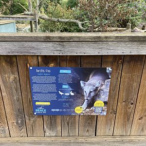 Beale park arctic fox signage