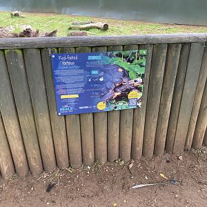 Beale park red footed tortoise signage