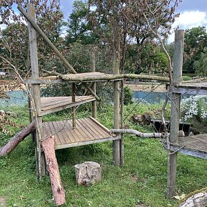 Beale park arctic fox enclosure