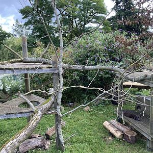 Beale park arctic fox enclosure