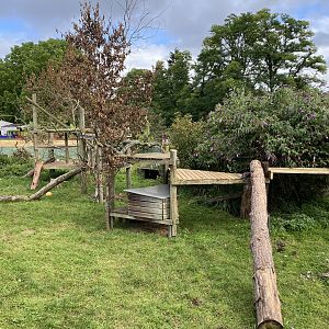 Beale park arctic fox enclosure