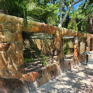 Sarasota Jungle Gardens (2023) - "Crested" (Cape) Porcupine exhibit
