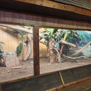 Sarasota Jungle Gardens (2023) - Iguana/Tortoise enclosure