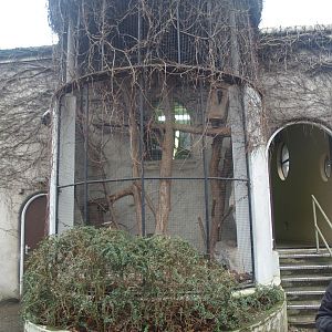 Old predator house at Rotterdam Zoo - Malayan civet cage