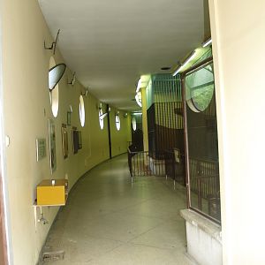 Old predator house at Rotterdam Zoo