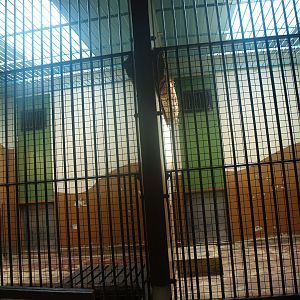 Old predator house at Rotterdam Zoo