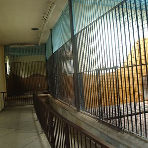 Old predator house at Rotterdam Zoo