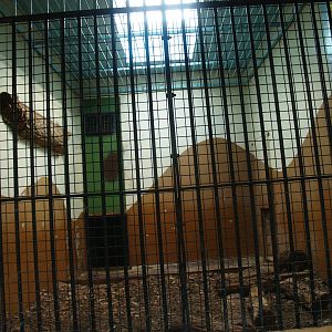 Old predator house at Rotterdam Zoo