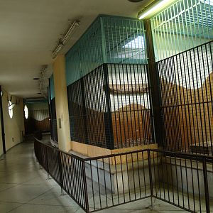 Old predator house at Rotterdam Zoo