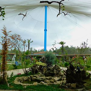 Inside the Istanbul Bird Paradise