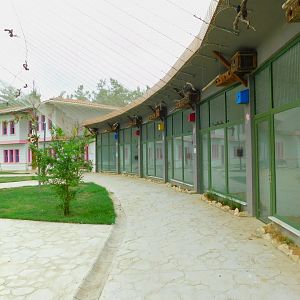 Glass Barrier Enclosures at  Istanbul Bird Paradise