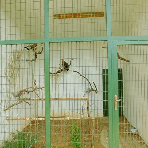 Basic Enclosure at Istanbul Bird Paradise