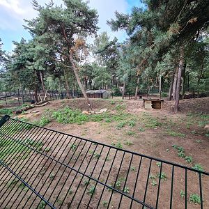 New Cheetah enclosure