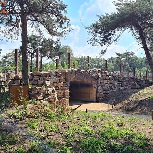 Tunnel under new Elephant valley