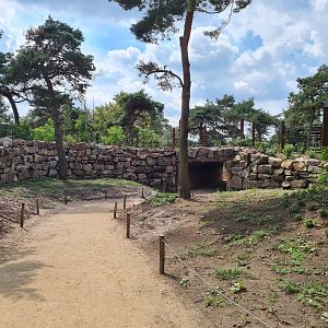 Tunnel under new Elephant valley