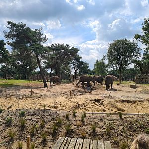 New Elephant valley