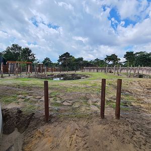 New Elephant bull yard