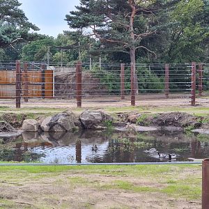 Pond in new Elephant bull yard