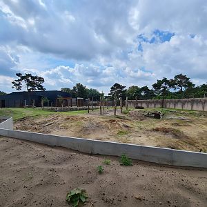 New Elephant bull yard