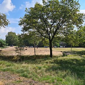 View of first big Savannah paddock