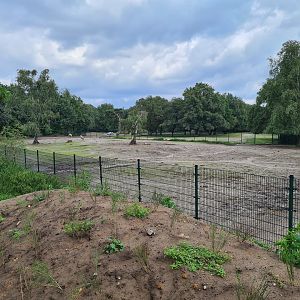 First Savannah paddock separation yard