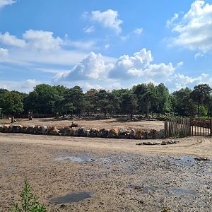 View of White rhinoceros separation