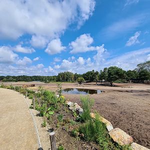 Second big Savannah paddock
