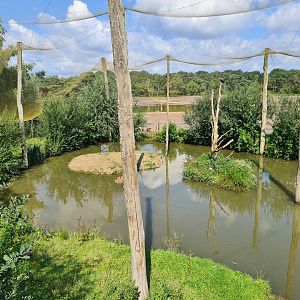 Flamingo aviary left side