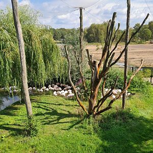 Flamingo aviary right side