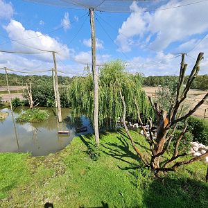 Flamingo aviary overview