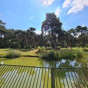 First Siberian tiger enclosure