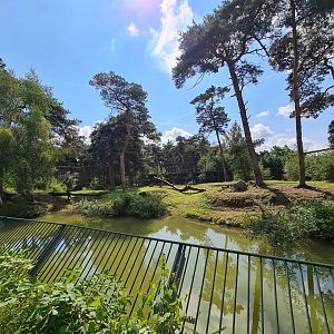 Second Siberian tiger enclosure