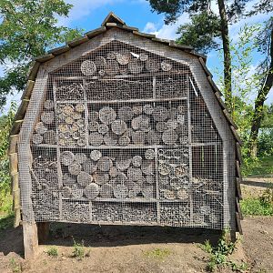 Insect hotel inhabited by Solitary bees